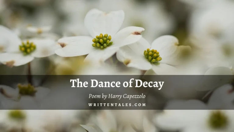 The Dance of Decay