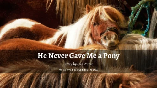 He Never Gave Me a Pony