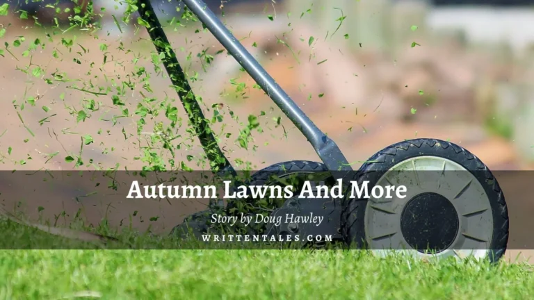 Autumn Lawns And More