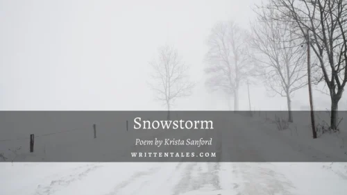 Snowstorm