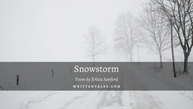 Snowstorm