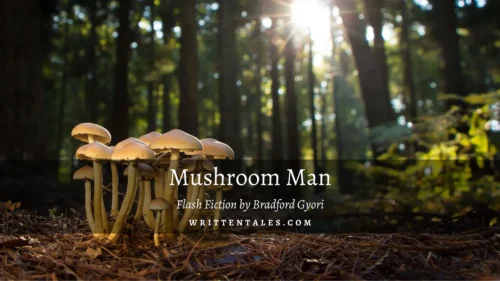 Mushroom Man