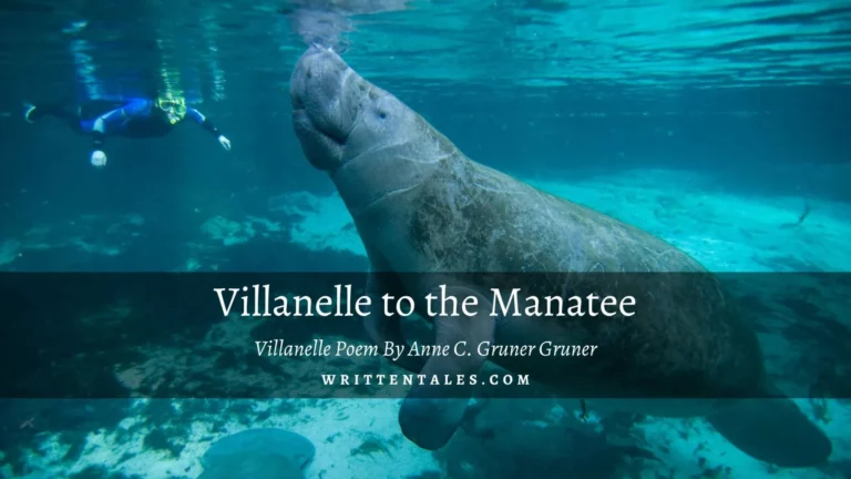 Villanelle to the Manatee